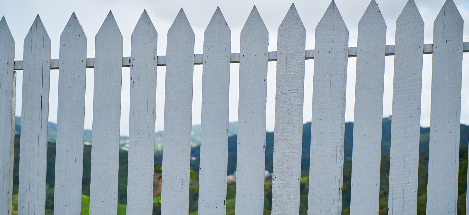 Palisade Gates untitled design (42)